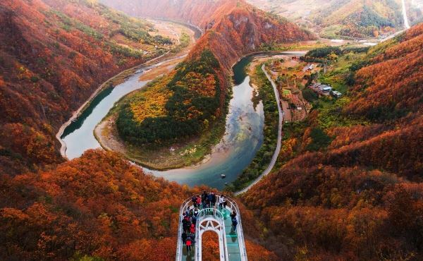 Кленовая осень в Корее: лучшие места страны с золотисто-красными пейзажами