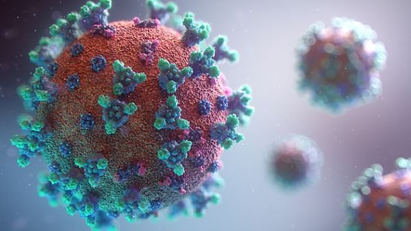 Найден новый потенциально опасный коронавирус, неуязвимый для вакцин