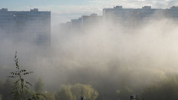 МЧС предупредило москвичей о густом тумане в Москве