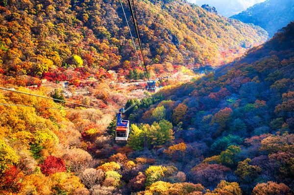 Кленовая осень в Корее: лучшие места страны с золотисто-красными пейзажами<br />
