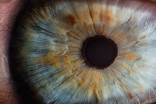 Офтальмолог Романова рассказала об опасности мушек перед глазами